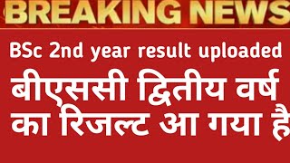 BSc 2nd year result uploaded! RMLAU BSc 2nd year result! University exam promotion result bscresult