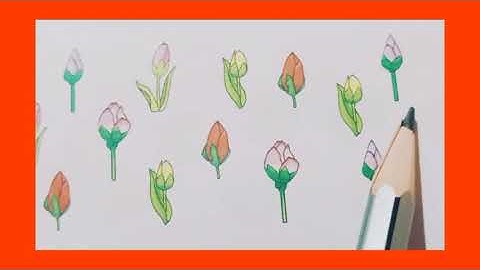 | K.G 1 | Maths ( Write ) - 23 & 24 | Write & Learn | Counting | Number |