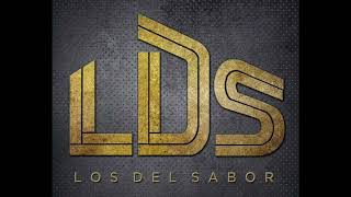 Video voorbeeld van "Son de los Tlacololeros · Los Del Sabor"