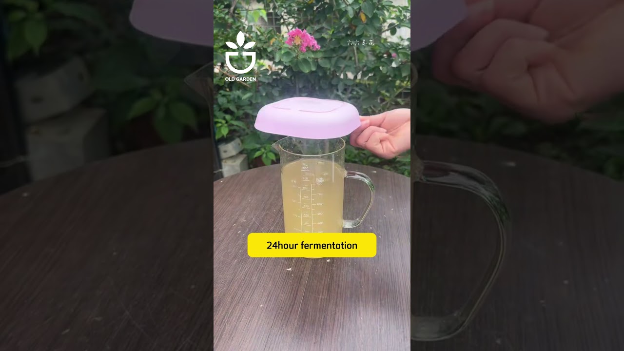 Как сделать гормон корнеобразования 