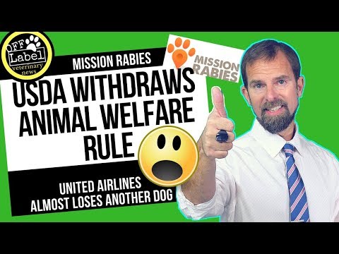 Video: Ang Pag-Withdraw Ng USDA Mula Sa Panuntunan Sa Organic Animal Welfare