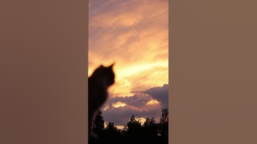 #القرآن_الكريم #اكسبلور #غرداية #explore #تلاوة_خاشعة #mzab #الجزائر