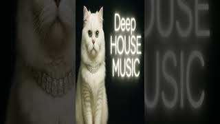 Never Give In#plugspaceaudio #deephousemusic #thehousemilitia