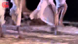 Angrakshak The Bodyguard 2029   Watch Latest Videos Online Part