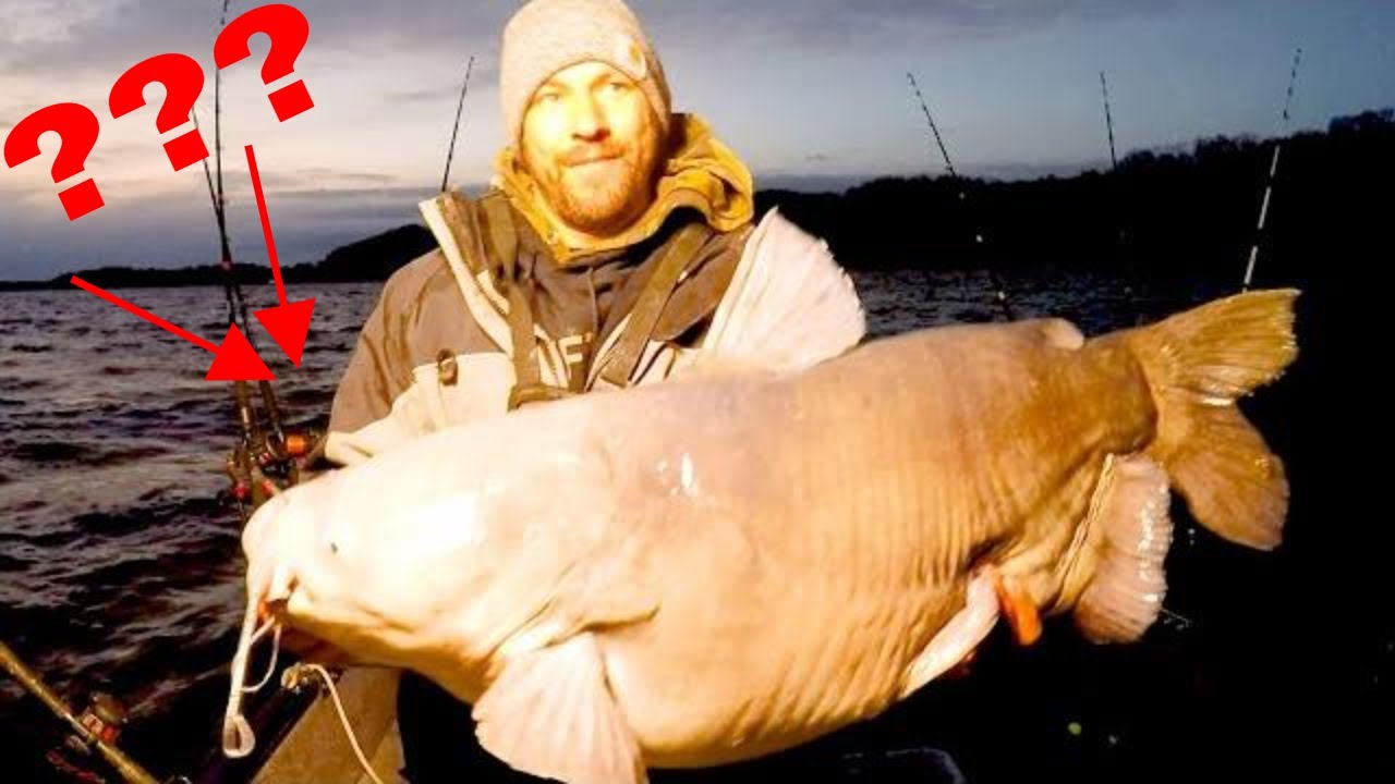 Why Is this catfish so fat? Winter catfishing YouTube