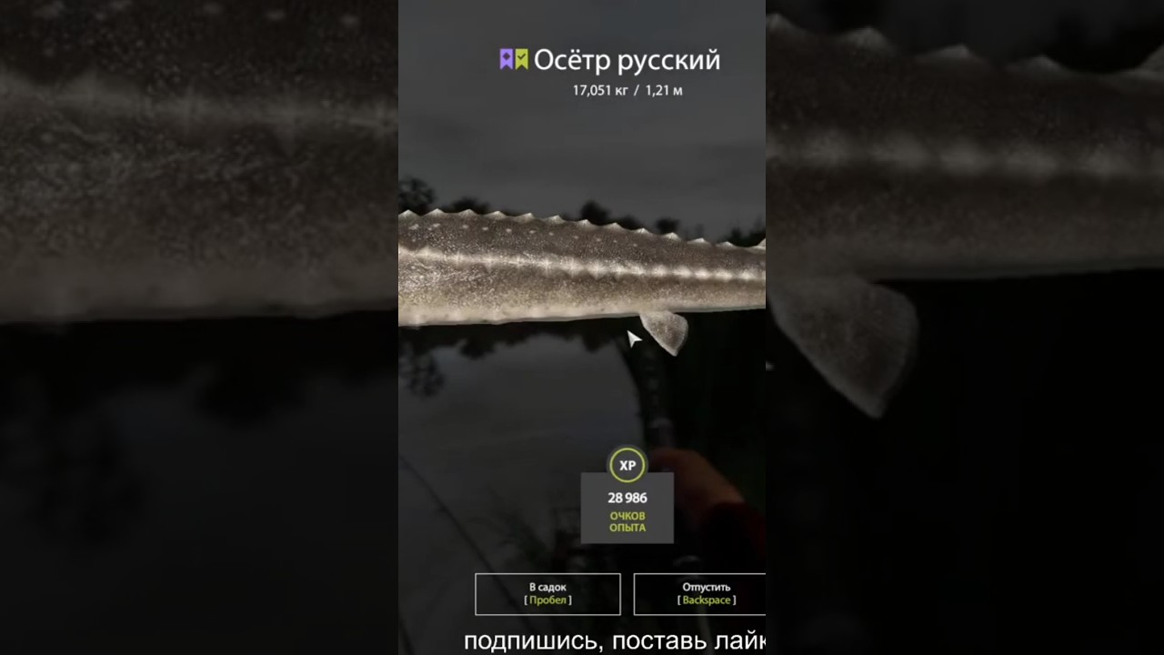 ну хоть что то поймал! 