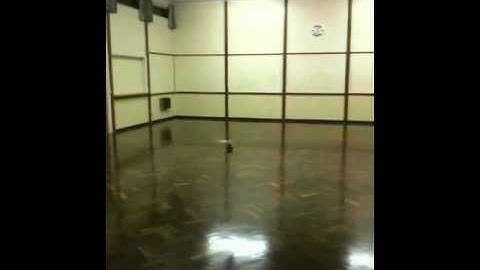 Trex 250 FBL RC Heli indoor flight - inverted landing up onto ceiling in small hall RC heli