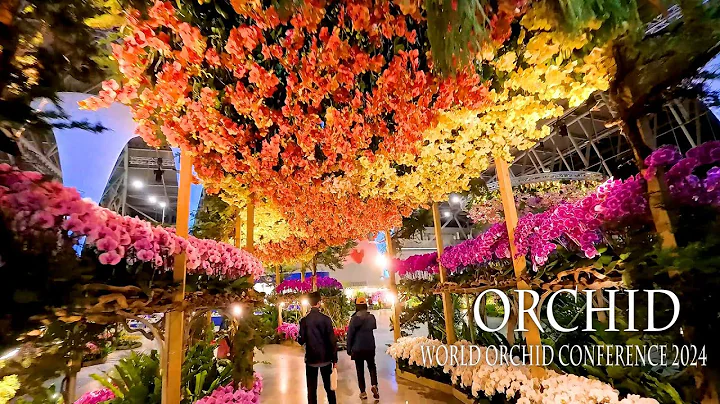 【4K Orchid 】 World Orchid Conference 2024 in Taiwan, #世界蘭花會議 Taiwan International Orchid Exhibition - DayDayNews