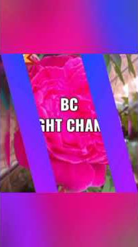 Jumat Mubarak By Maher Zain