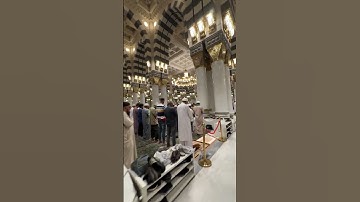 خشوع المصلين في المسجد النبوي بصوت القارئ عبدالله القرافي  #المسجد_النبوي #تلاوة #قرآن