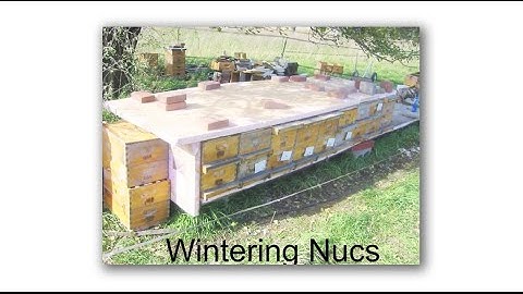 Michael Bush, Wintering Nucs