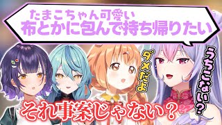 たまちゃんを布で包んで持ち帰りたいもねち【雲母たまこ/梢桃音/珠乃井ナナ/七瀬すず菜/にじさんじ切り抜き】