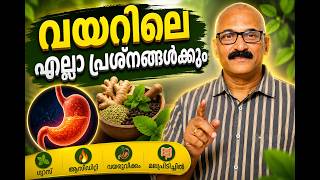 വയറിലെ എല്ലാ പ്രശ്നങ്ങൾക്കും പ്രകൃതിദത്ത പരിഹാരം | Digestive Wellness Secrets