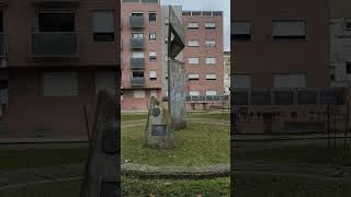 Jardim Zamenhof,Barreiro,Portugal.#2026 #barreiroportugal #nature #garden #zamenhof #tree #oldtree