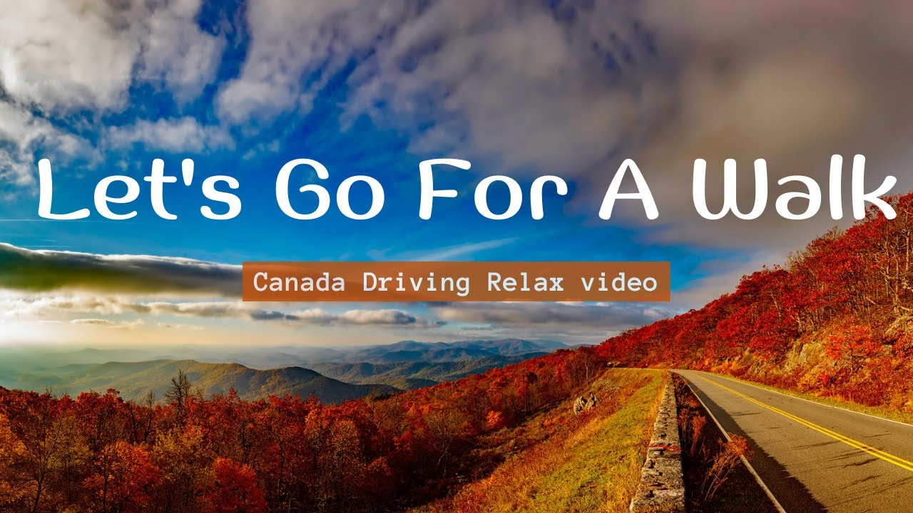 Canada relaxing driving video With Beautiful Nature Videos - Let's Go For A Walk