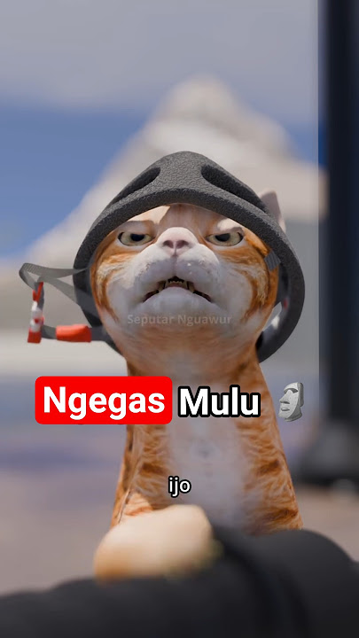 Ngegas Mulu 🗿  #seputarnguawur