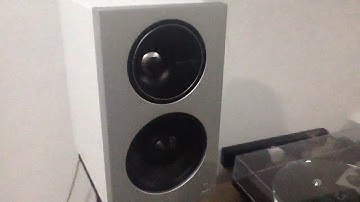 Definitive Technology Demand 7 with Rega Brio and Apollo - Ortons AudioVisual