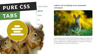 How to Create Pure CSS Vertical Tabs with Indicator (Step by Step)