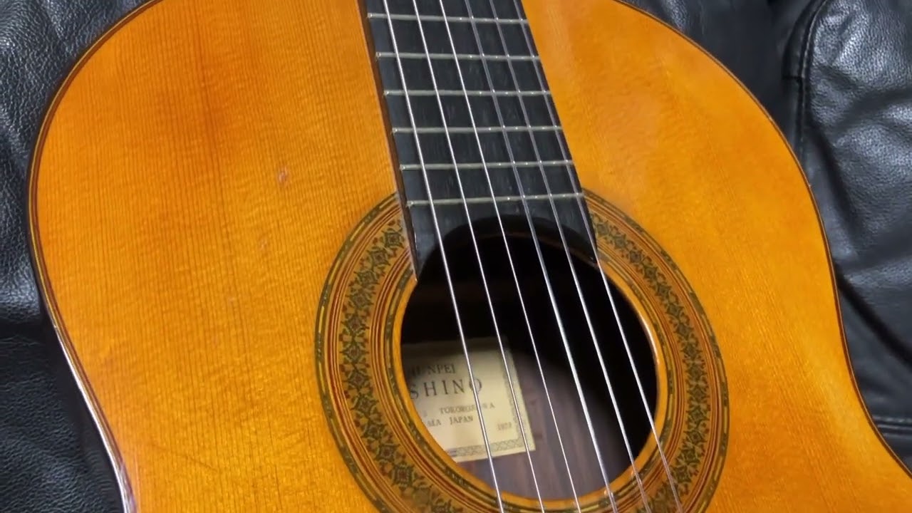 Bargain! Shunpei Nishino No.8 (1973) - All Solid - Concert 