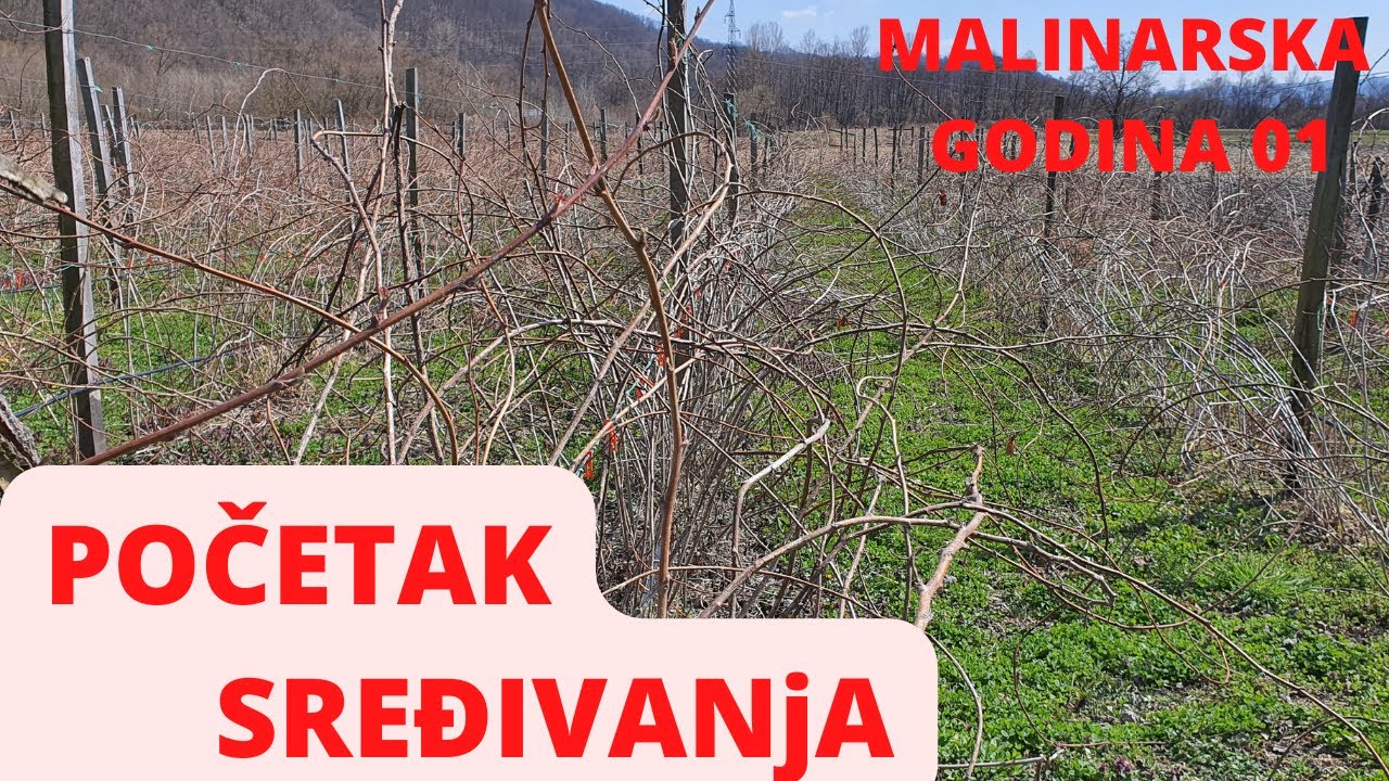 Malinarska Godina Epizida 01