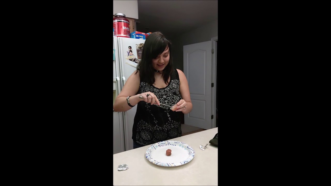 lizard skin grips Baking a birthday cake for my bearded dragon