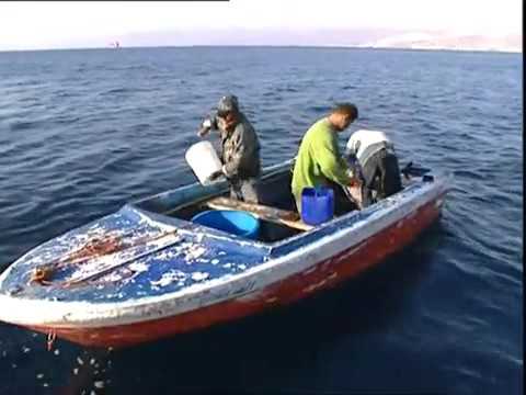 Aqaba, porte de la mer Rouge - Découverte du Monde