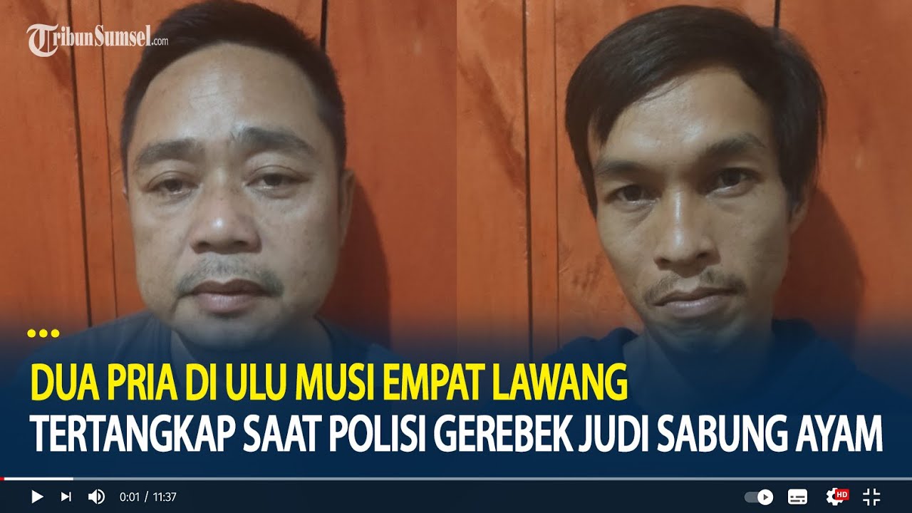 Dua Pria di Ulu Musi Empat Lawang Ditangkap Polisi, Lakukan Judi Sabung Ayam