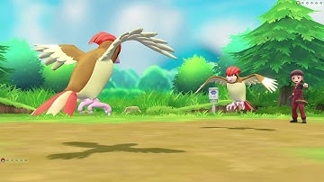 Pokemon Lets Go Eevee - Master Trainer Pidgeotto