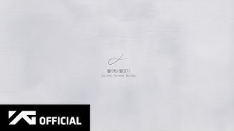 AKMU - '물 만난 물고기(Fish in the water)' Lyric Video