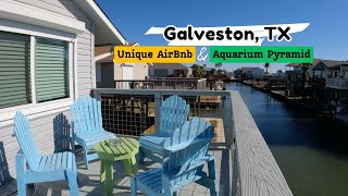 Family Guide To Galveston Aquarium Pyramid