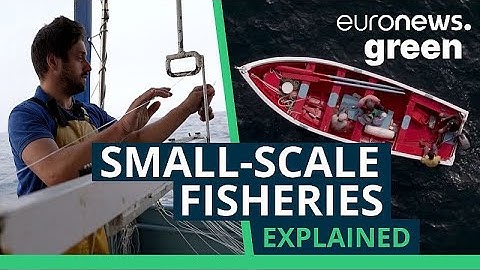 Explainer: Are we witnessing the last generation of artisanal fishers?