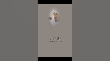 “سورة النمل” تلاوة تاريخية أعادت الأذهان للاداء الشهير للشيخ د.ياسر الدوسري