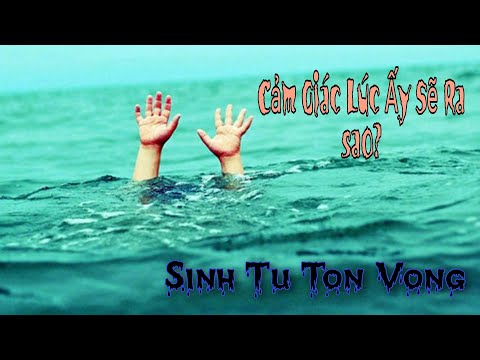 Video: Chết đuối (Gần Chết đuối) Trong Mèo