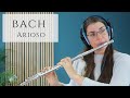 J.S. Bach - Arioso from Cantata BWV 156 (flute version)