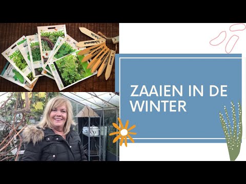 Video: Kersencompote met zaden voor de winter