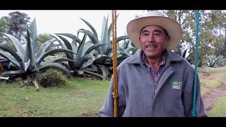 La Magia de mi Pueblo Capitulo 5 El Pulque Ayotla, Zacatlán