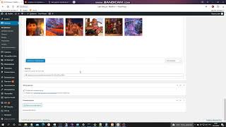 Авто постинг на сайт через BAS + Wordpress видео #1