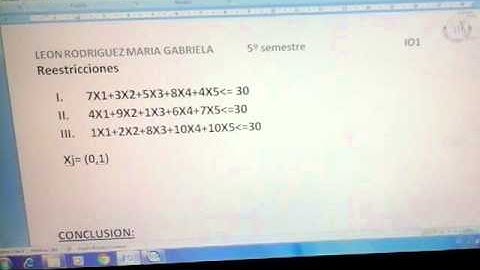 PROGRAMACION LINEAL ENTERA BINARIA