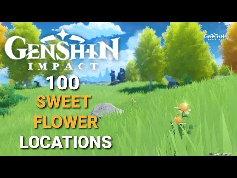 100 Sweet Flower Locations - Genshin Impact