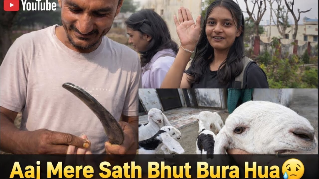 Aaj mere sath bahut bura hua 🥹 #funny #daillyvlogger #villagerlifestyle #viralvideo #vlog #viral 