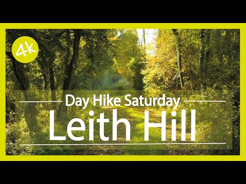 Leith Hill | Gomshall to Dorking Walk | 4K | Day Hike Saturday | 🇬🇧 Hiking UK | England