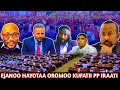 Ejanoo Fi Tarkanfi Hogantotaa Oromoo Kufatii Bilxiginaa Cafee Oromia Shimellis Fi Abiyin Ejanoo Fi Tarkanfi Hogantotaa Oromoo Kufatii Bilxiginaa Cafee Oromia Shimellis Fi Abiyin