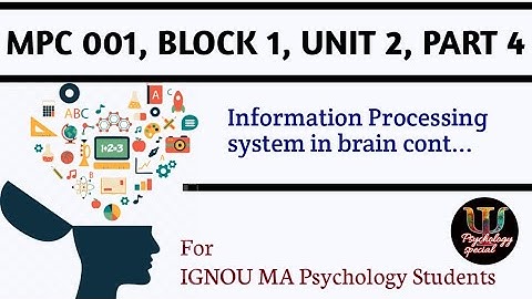 MPC 001, BLOCK 1, UNIT 2, PART 4, Information Processing Model, IGNOU MA Psychology