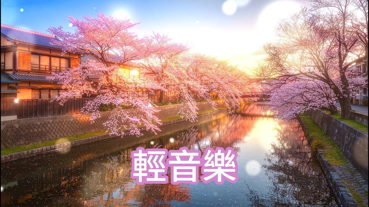 無廣告🌸櫻河暮光，柔和旋律如夕陽染櫻倒影，療癒心靈，減輕焦慮，帶來深層放鬆，讓你沉浸於古巷的靜謐懷抱