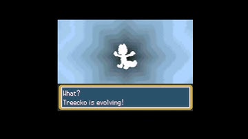 Pokemon fire red new legendary pokemon newtwo how to catch in pokemon fire red x new cheats code