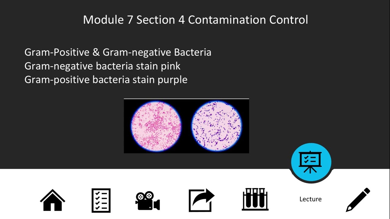 Biotechnology Module 7 Video
