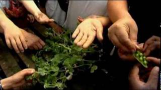 Green End Primary School - A visit to Reaseheath agricultural college