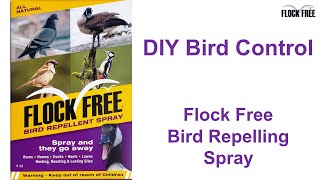 How to Get Rid of Pigeons, Geese, and Other Annoying Birds with Flock Free Bird Repelling Spray