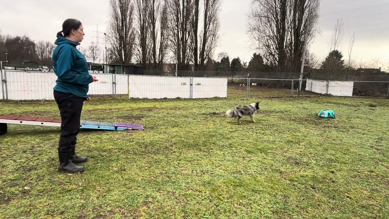 Bowie rc / wip 21 feb