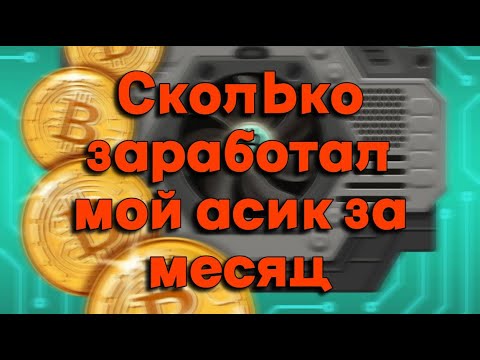Майнинг на асике 2023 | Отчет по доходности за 1 месяц |